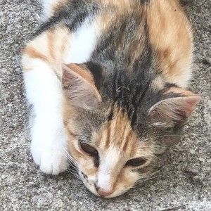 Meet your Posher, Gina